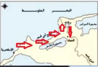 نشاط2