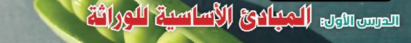 الدرس الأول: المبادئ الأساسية للوراثة