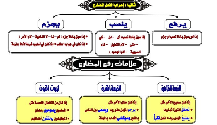 اعراب الفعل المضارع