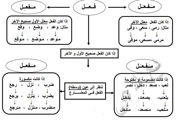 هام جداً