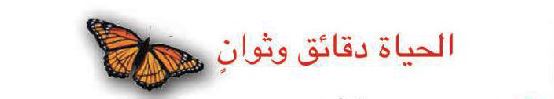 الحياة دقائق وثوان