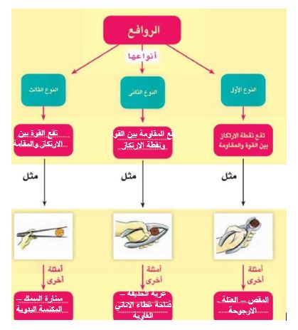 مخطط لأنوع الروافع