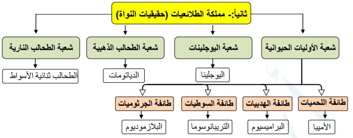 الطلائعيات